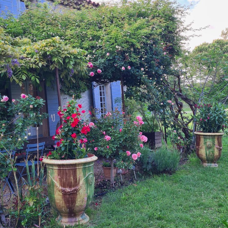 Le Mas Des Pins Mane  Exterior photo